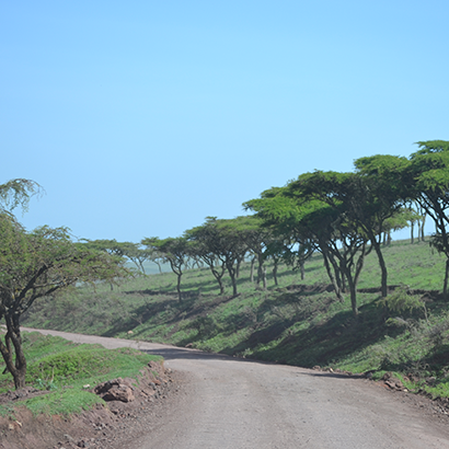 Tanzania